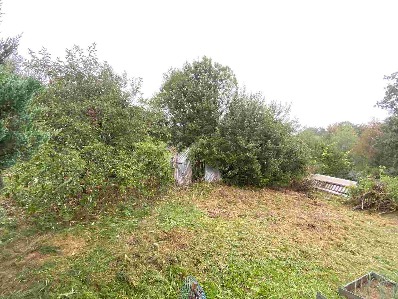 Prodej zahrady 194 m² – fotografie 2