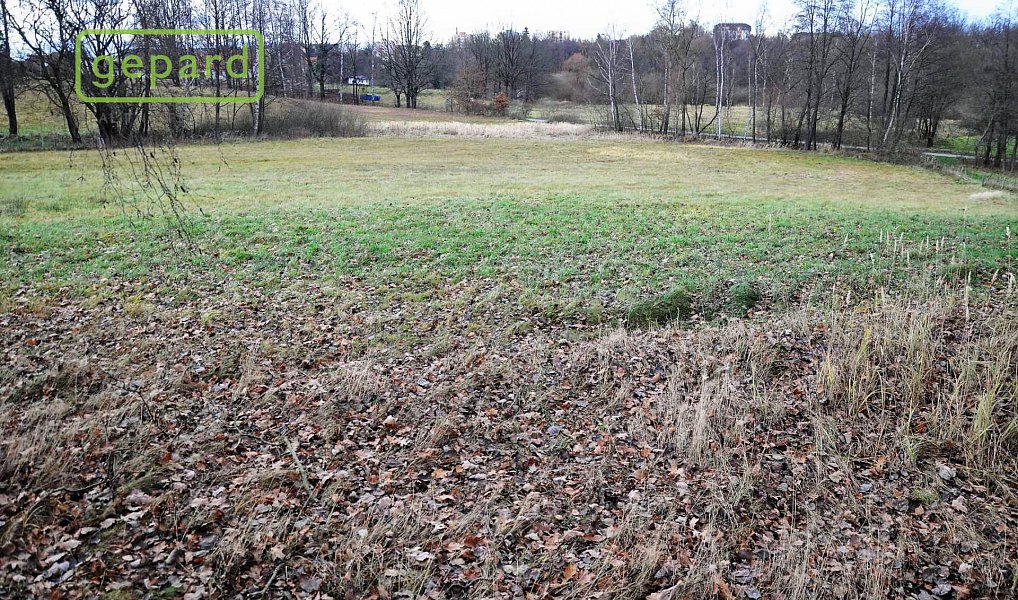 Prodej pole 4 674 m², Trhové Sviny – náhled fotky 7