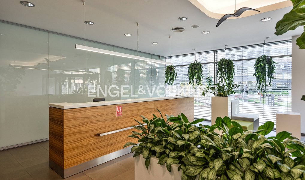 Pronájem kanceláře 1 145 m², Praha – náhled fotky 4