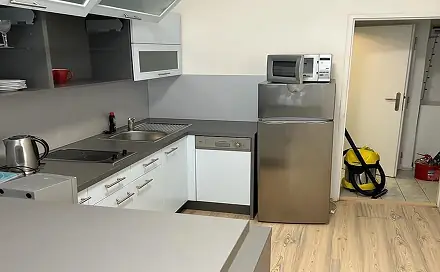 Pronájem bytu 1+1 46 m², Thámova, Praha 8 - Karlín