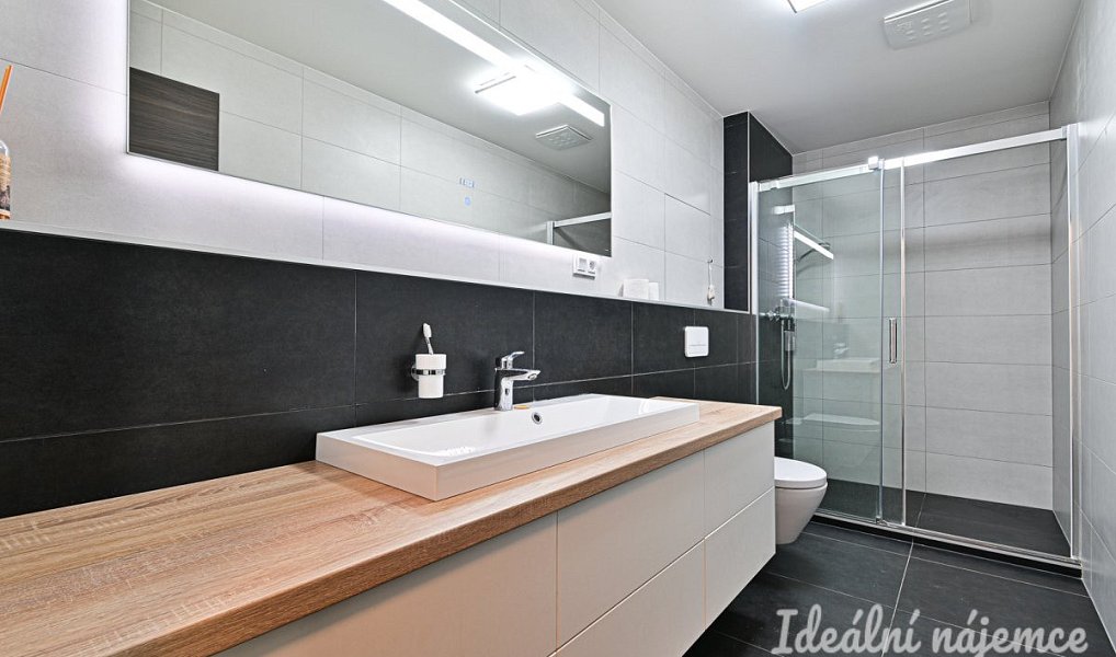 Pronájem bytu 2+kk 60 m², Brno – náhled fotky 15