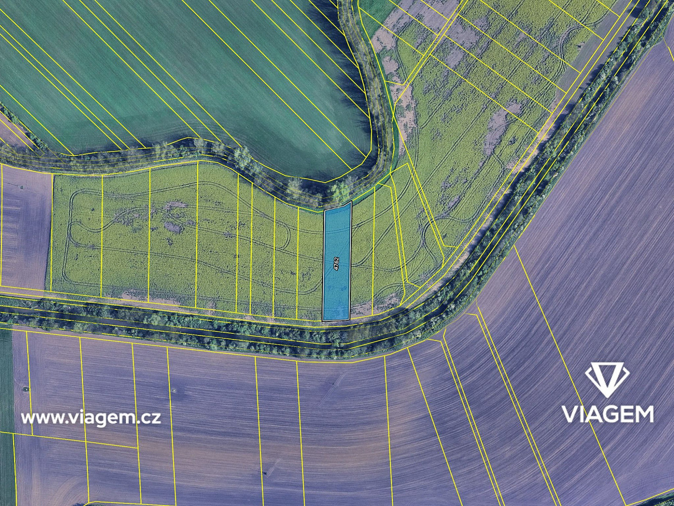Prodej pole 2 771 m² – fotografie 4