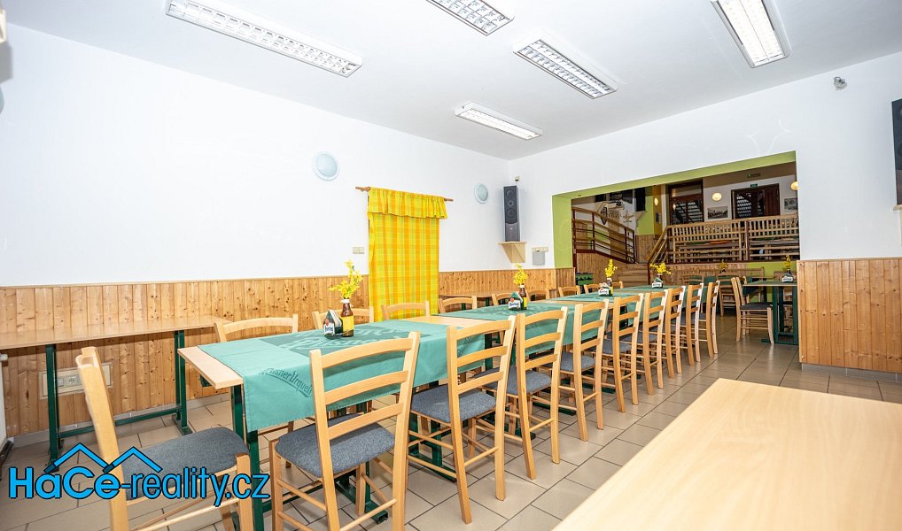 Prodej komerčního objektu (jiného typu) 572 m², Slatina nad Zdobnicí – náhled fotky 11