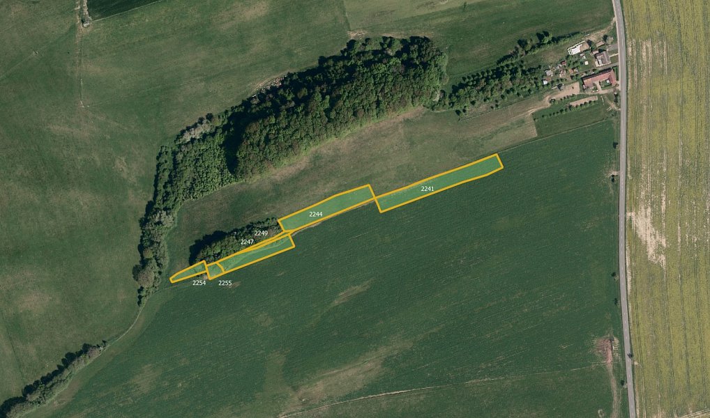 Prodej pole 19 604 m², Loučka – náhled fotky 3