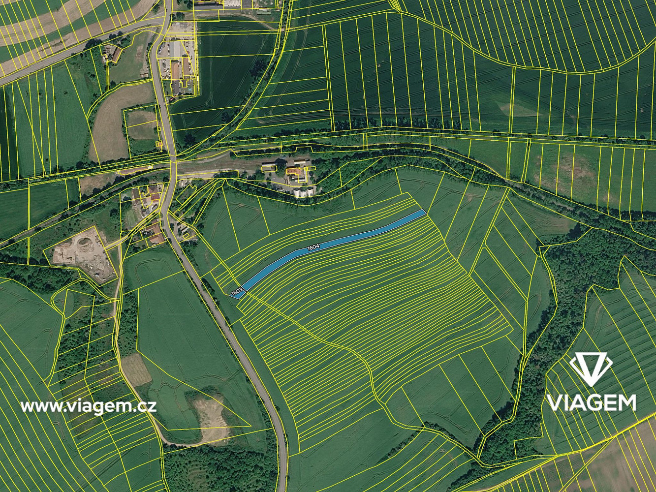 Prodej pole 961 m² – fotografie 4