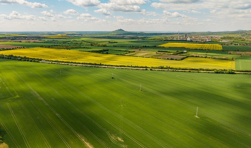 Prodej komerčního pozemku 17 476 m², Lovosice – náhled fotky 5