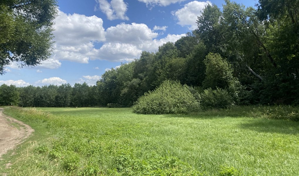 Prodej domu 250 m² s pozemkem 2 793 m², Osová Bítýška – náhled fotky 11