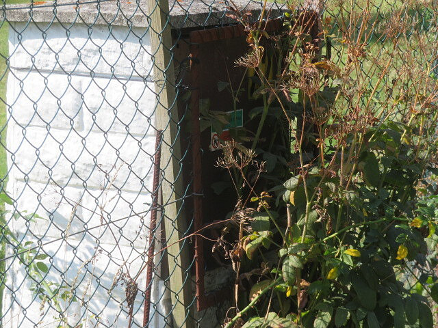 Fotka 17 z 24
