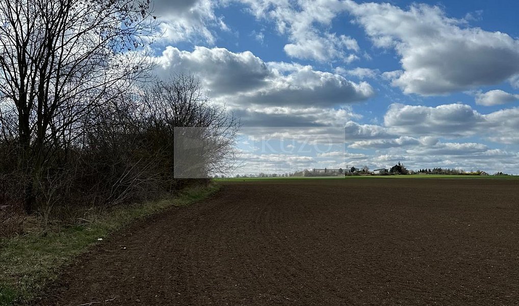 Prodej pozemku 1 019 m², Velké Přílepy – náhled fotky 4