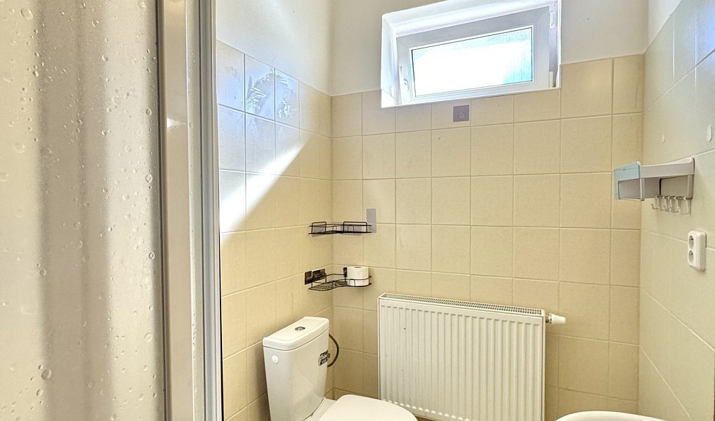 Prodej domu 414 m² s pozemkem 939 m², Bor – náhled fotky 41