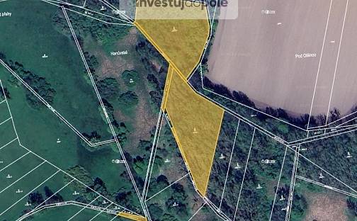 Prodej lesa 7 026 m², Kravaře, okres Opava