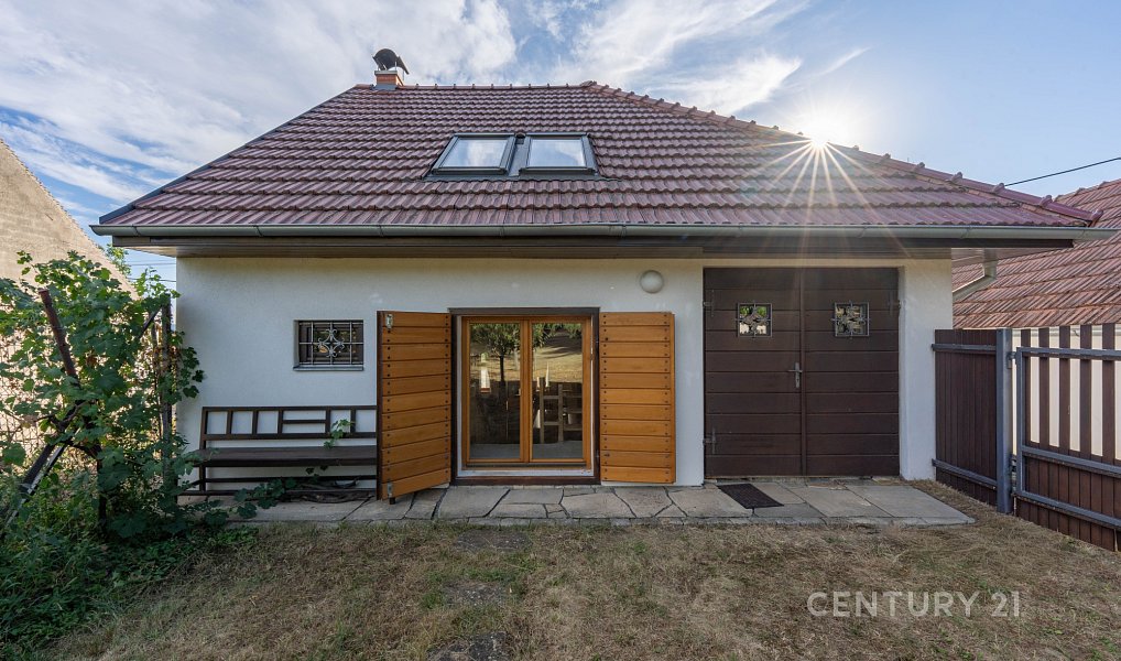 Vinný sklep 83m2, pozemky 8.420m2, Blatnice pod Svatým Antonínkem, Blatnice pod Svatým Antonínkem – náhled fotky 13