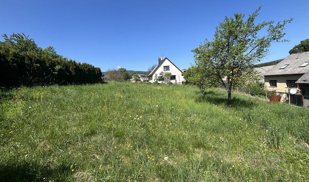 Prodej domu 250 m² s pozemkem 978 m², Stachy – náhled fotky 5