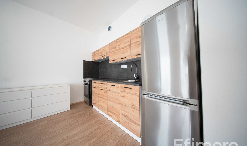 Pronájem bytu 1+kk 35 m², Brno – náhled fotky 4