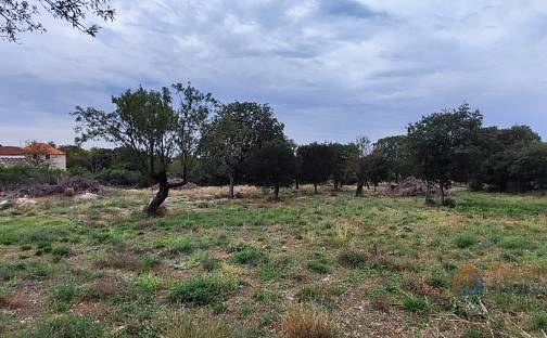 Prodej stavebního pozemku 3 596 m², Benkovac, Chorvatsko