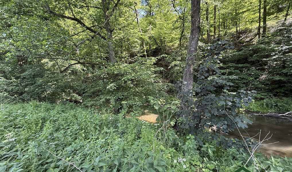 Prodej louky 3 200 m², Bílovice nad Svitavou – náhled fotky 2