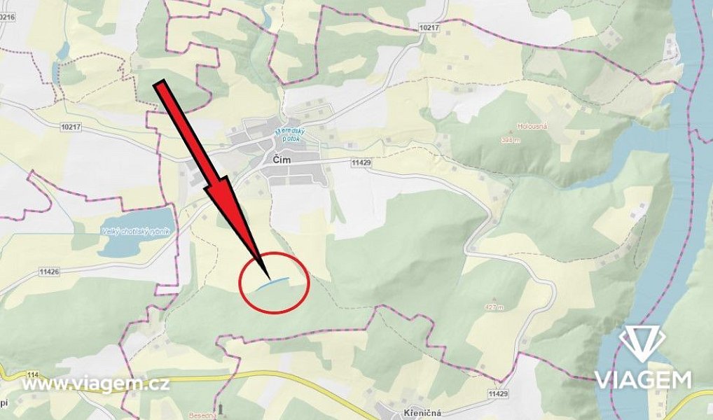 Prodej lesa 13 775 m², Čím – náhled fotky 5