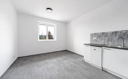 Pronájem bytu 2+kk 37 m², Malostranská, Plzeň - Doudlevce