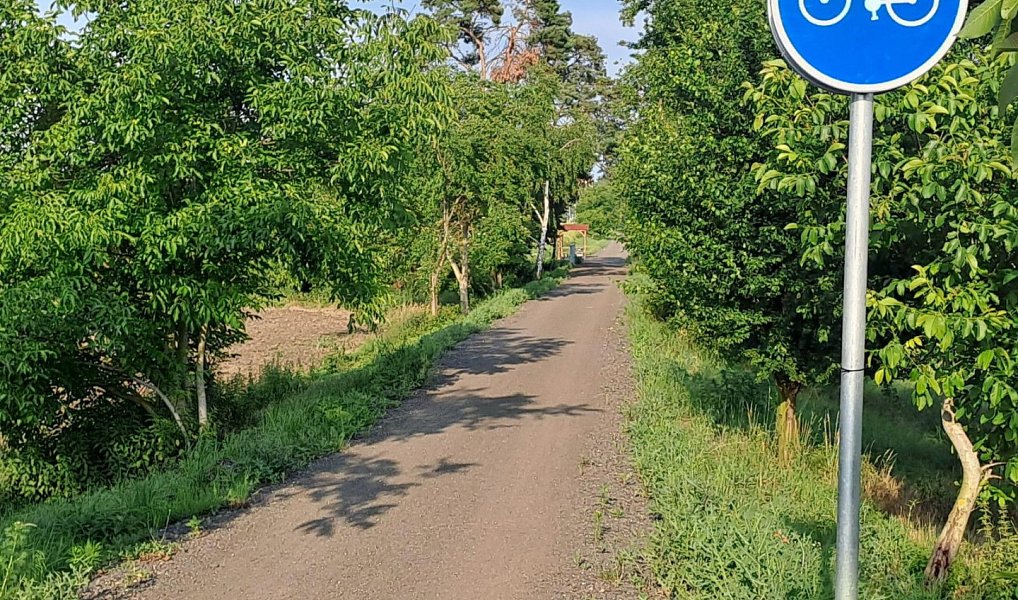 Pronájem domu 180 m² s pozemkem 1 662 m², Dobrovice – náhled fotky 26