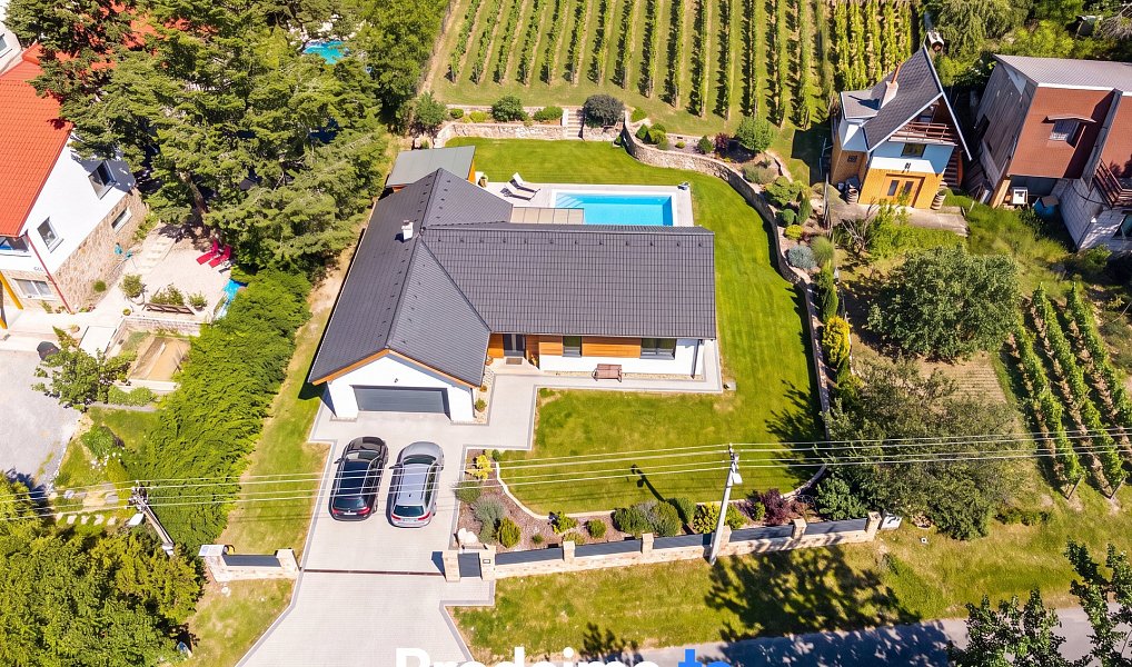 Prodej stavebního pozemku 7 165 m², Viničné Šumice – náhled fotky 3