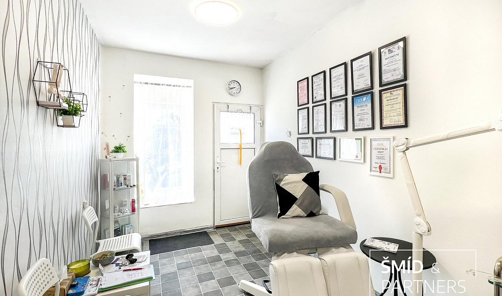Prodej domu 540 m² s pozemkem 284 m², Zásmuky – náhled fotky 6