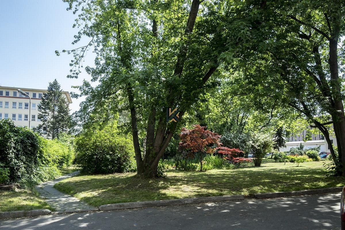 Pronájem kanceláře 75 m² – fotografie 5