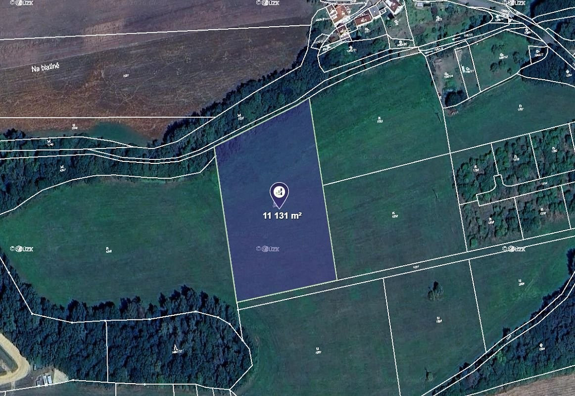 Prodej louky 11 131 m²