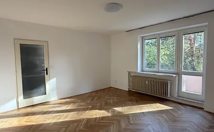 Pronájem bytu 1+1 38 m²