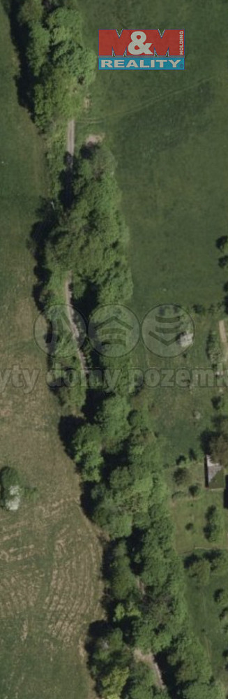 Prodej lesa 2 146 m² — photo 4