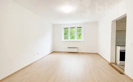 Pronájem bytu 1+1 28 m²