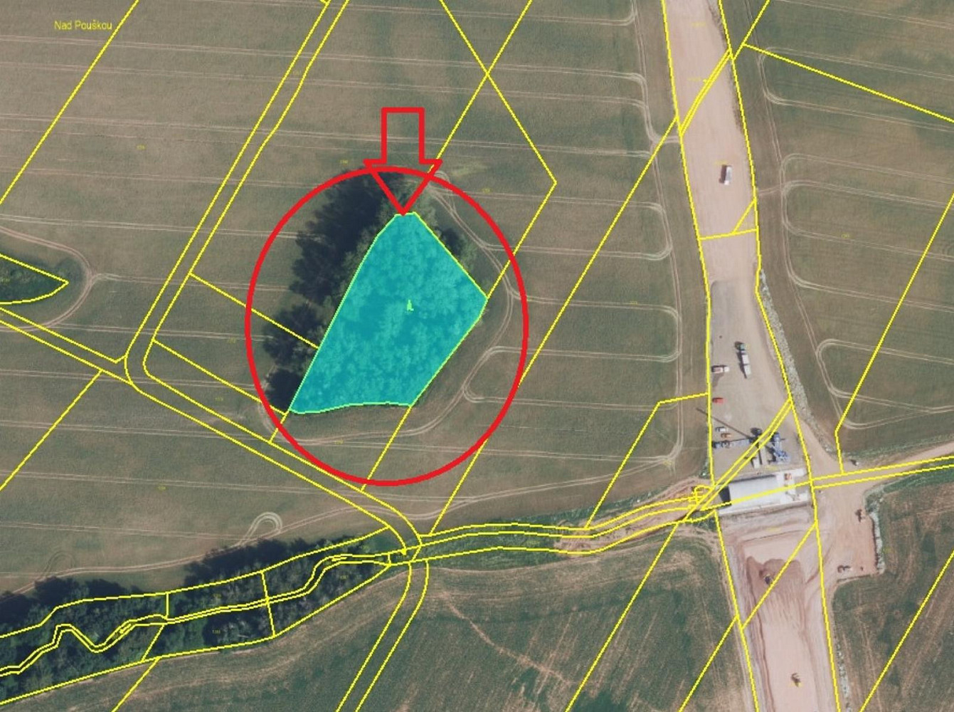 Prodej lesa 2 049 m² — photo 5