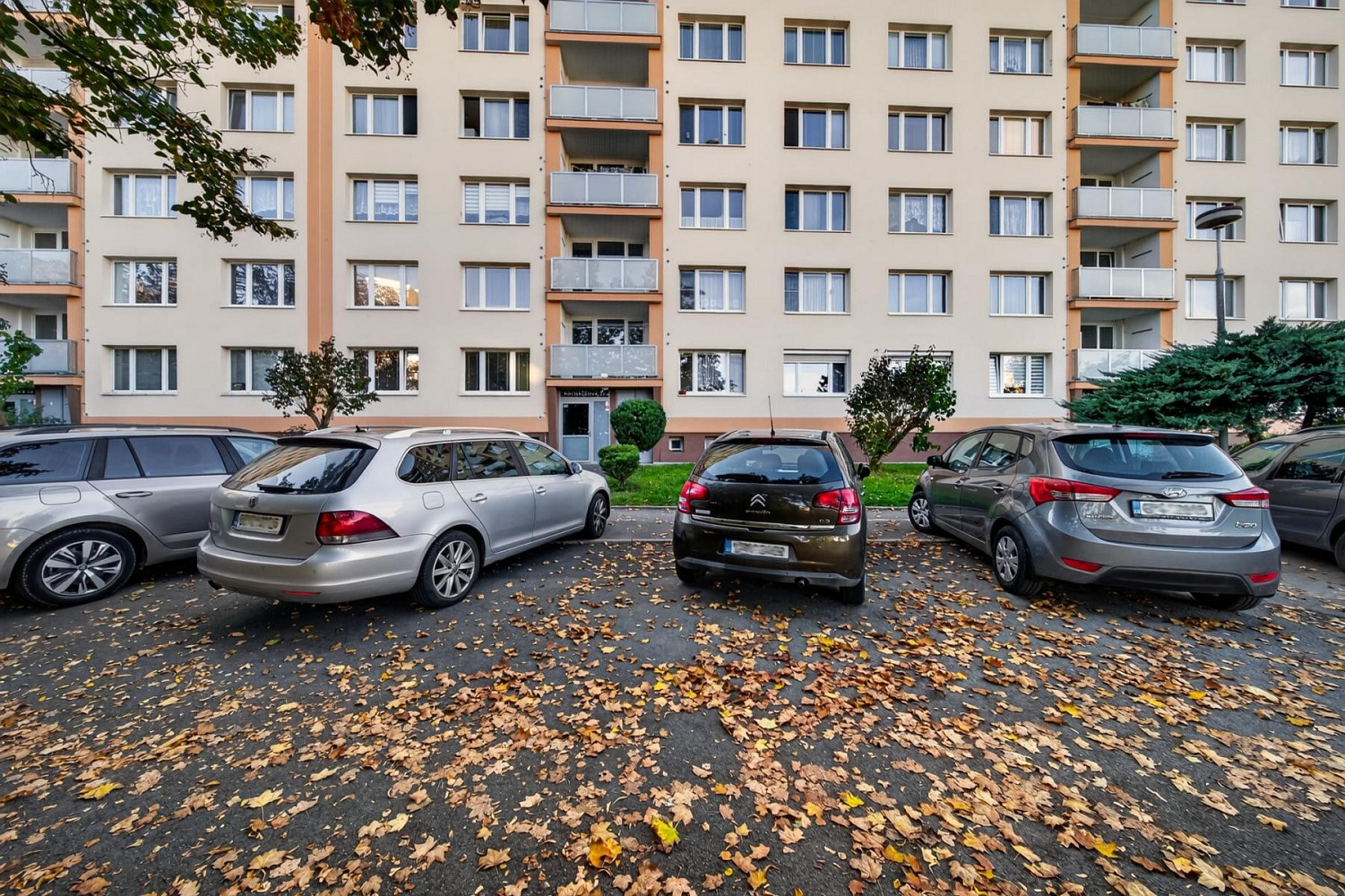 Fotka 19 z 22