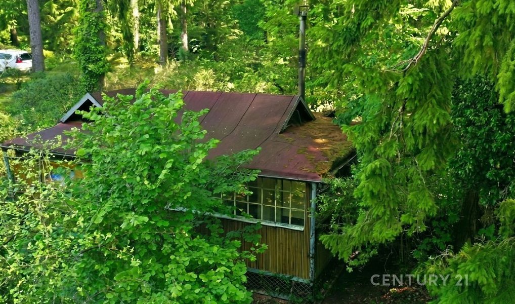 Prodej chaty/chalupy 33 m² s pozemkem 60 m², Tehov – náhled fotky 3