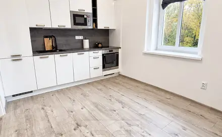 Pronájem bytu 1+1 45 m²