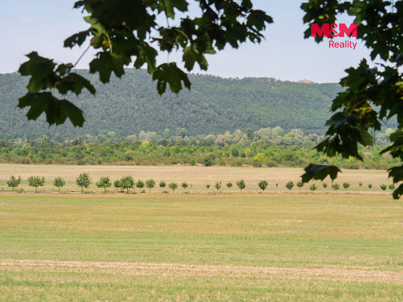Prodej lesa 5 606 m² – fotografie 4