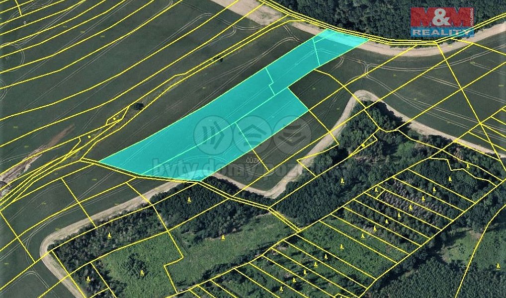 Prodej pole 11 645 m², Pavlov – náhled fotky 4
