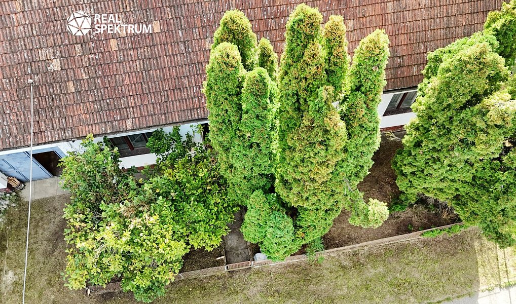 Prodej domu 130 m² s pozemkem 416 m², Uherský Brod – náhled fotky 10