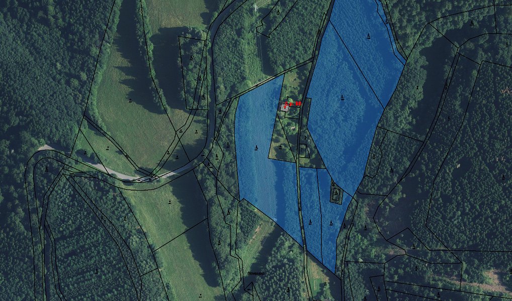 Prodej lesa 40 093 m², Strážná – náhled fotky 6