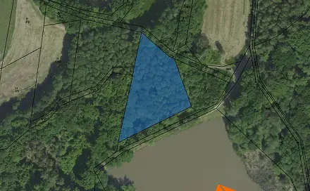 Prodej lesa 705 m², Chlístovice, okres Kutná Hora