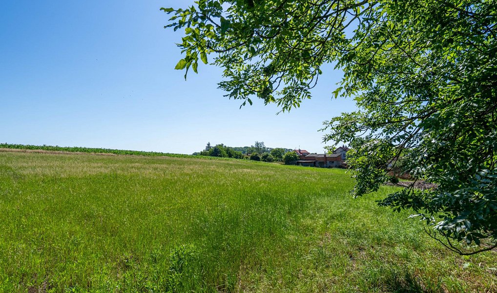 Prodej stavebního pozemku 1 506 m², Skalice – náhled fotky 3
