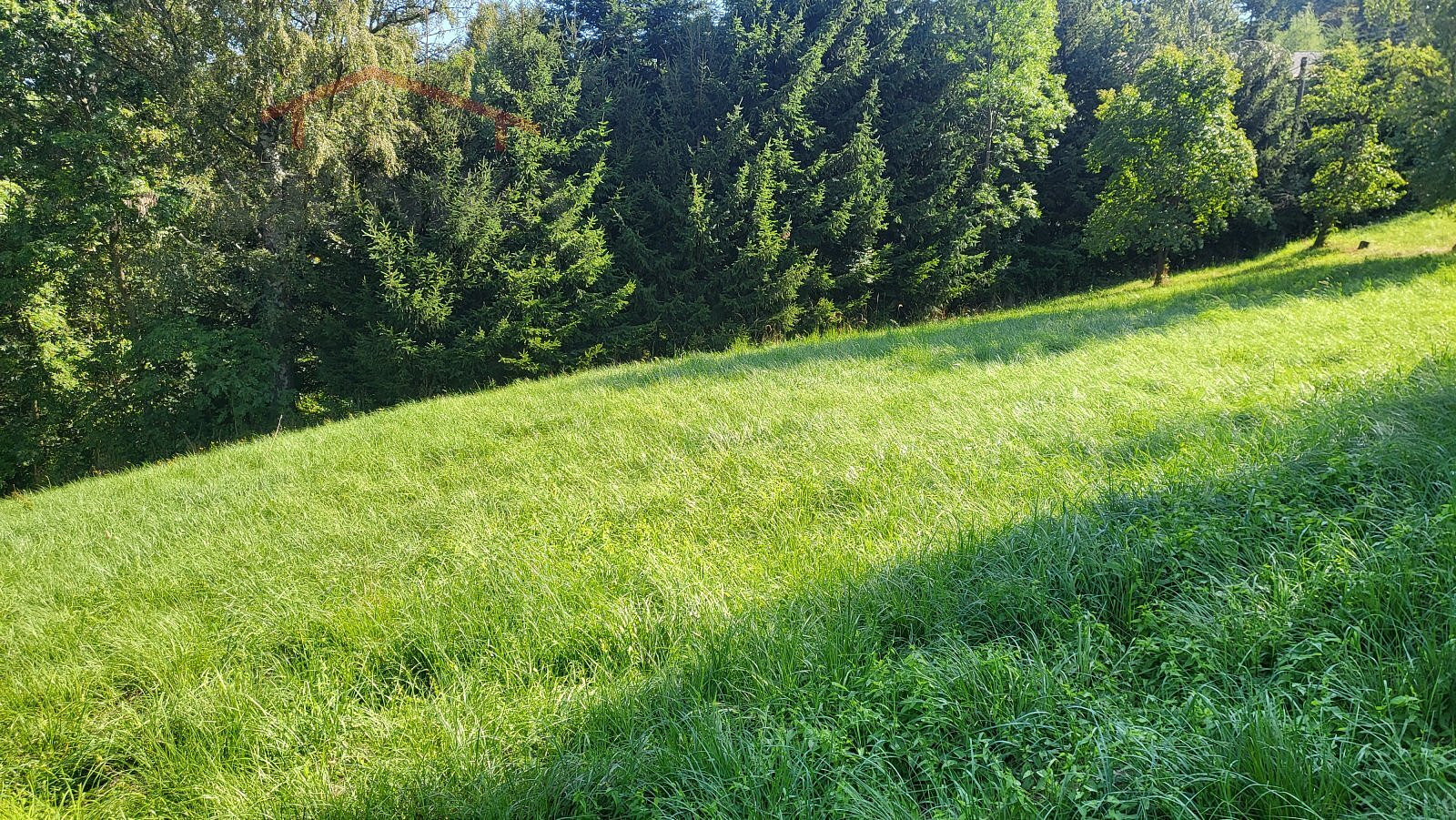 Prodej stavebního pozemku 3 186 m² – fotografie 3