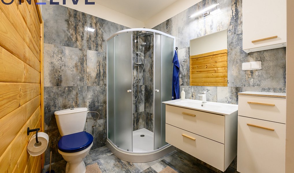 Prodej komerčního objektu (jiného typu) 500 m², Železná Ruda – náhled fotky 20