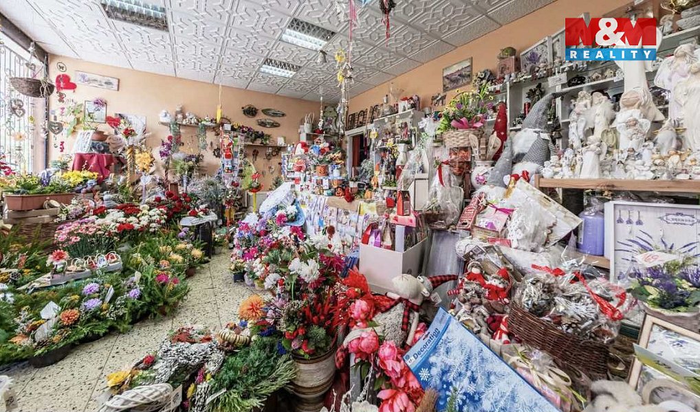 Prodej obchodních prostor 51 m², Chomutov – náhled fotky 6