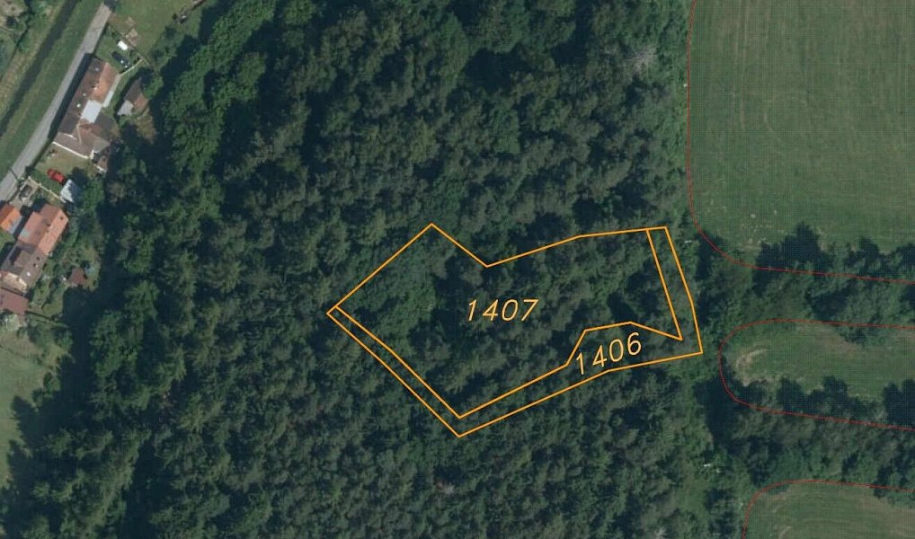 Prodej lesa 3 093 m², Popovice – náhled fotky 5