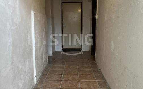 Pronájem skladovacích prostor 40 m², S. K. Neumanna, Pardubice - Zelené Předměstí