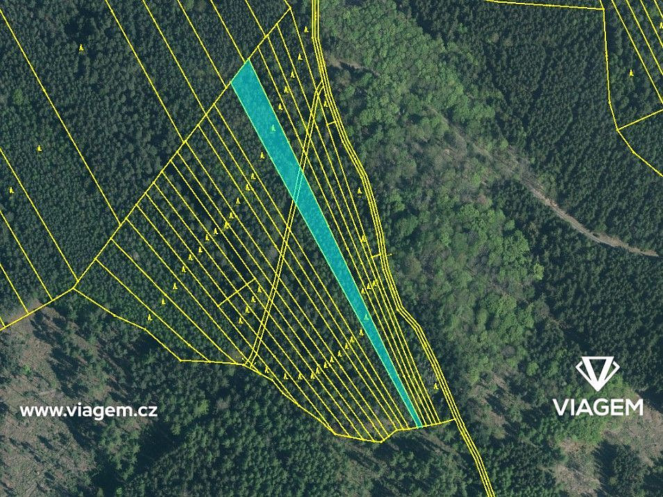 Prodej lesa 4 087 m² – pohled 3