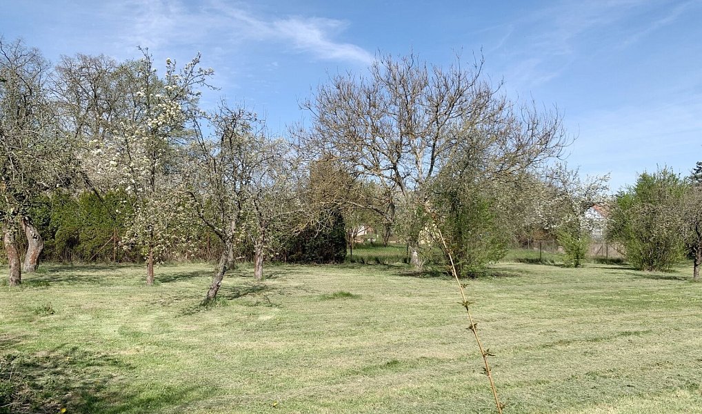 Prodej domu 90 m² s pozemkem 2 409 m², Pšovlky – náhled fotky 11
