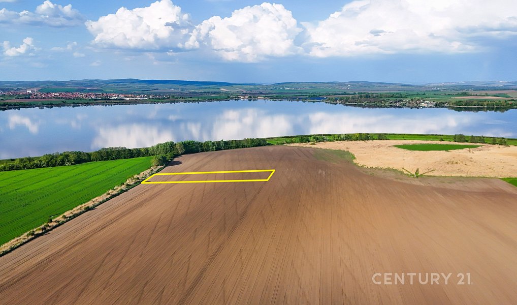 Prodej pole 9 682 m², Pavlov – náhled fotky 4