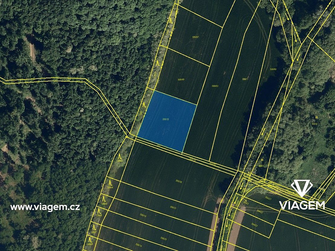 Prodej pole 1 596 m² – fotografie 3
