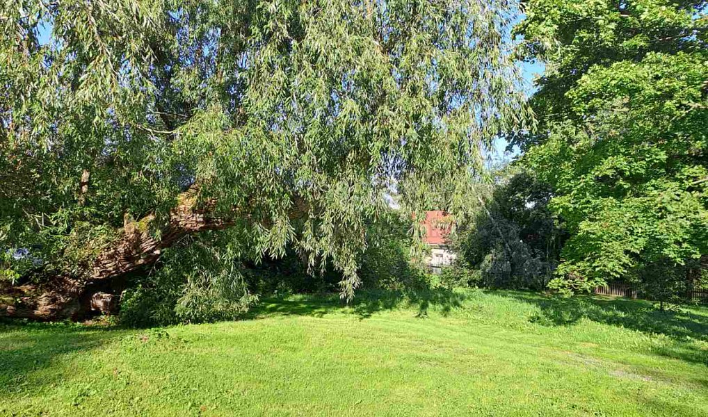 Prodej zahrady 719 m², Město Albrechtice – náhled fotky 19